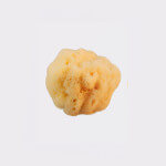 Adriatic sponge 9-10cm, seasponges.eu Adriatic sponge 9-10cm, seasponges.eu