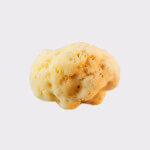 Adriatic sponge 12-14cm, seasponges.eu Adriatic sponge 12-14cm, seasponges.eu