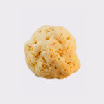 Adriatic sponge 12-14cm, seasponges.eu Adriatic sponge 12-14cm, seasponges.eu