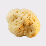 Adriatic sponge 16-18cm, seasponges.eu Adriatic sponge 16-18cm, seasponges.eu