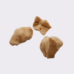 3 sponges for art, craft & painting, seasponges.eu