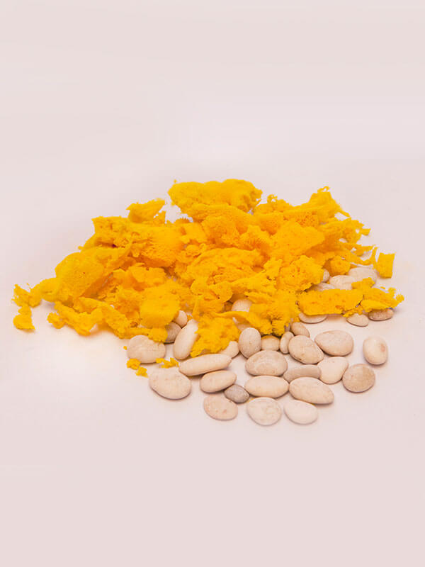 Seasponges, art craft pieces, seasponges.eu Seasponges, art craft pieces, seasponges.eu