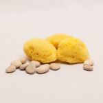 Facial Care Sponges, LOT OF 3, SeaSponges.eu Facial Care Sponges, LOT OF 3, SeaSponges.eu